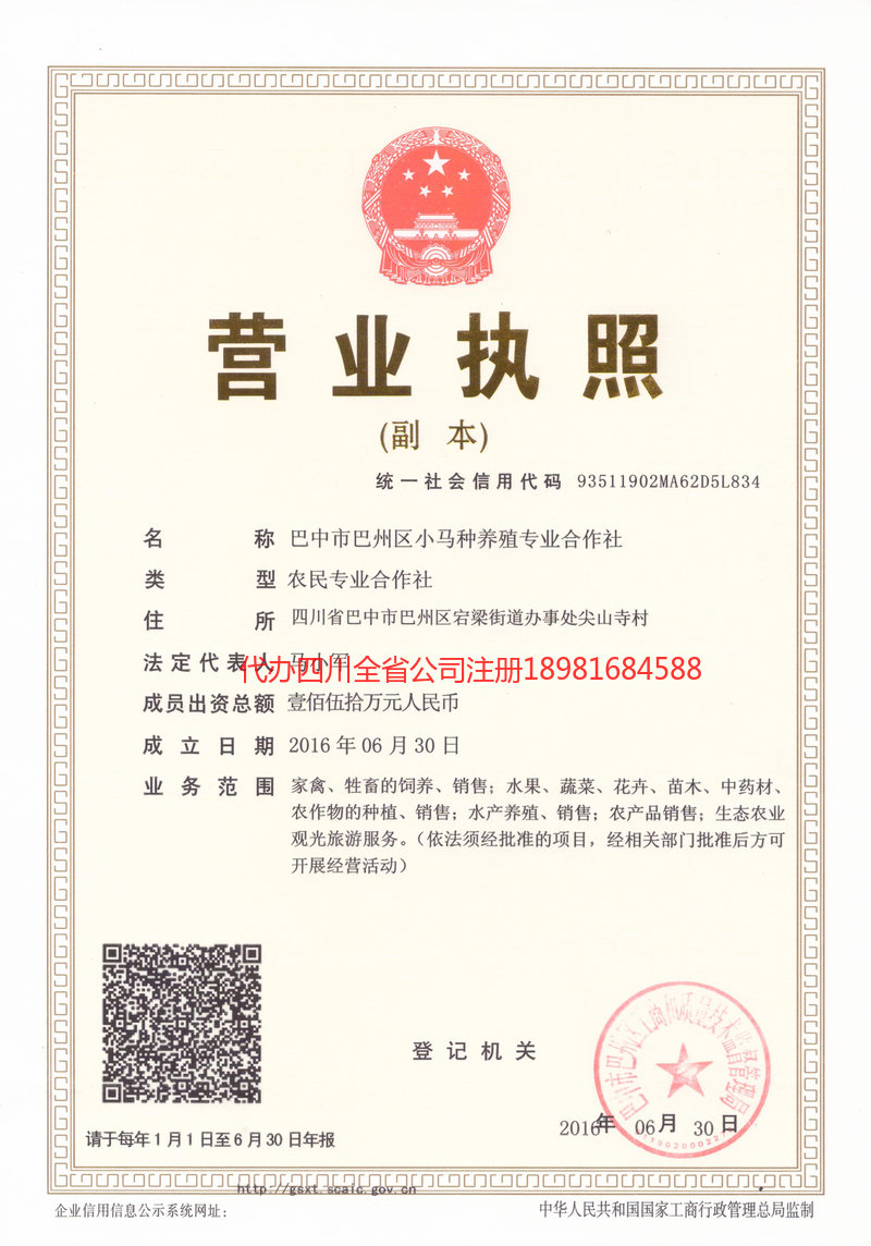 汉中汉中小马种养殖专业合作社